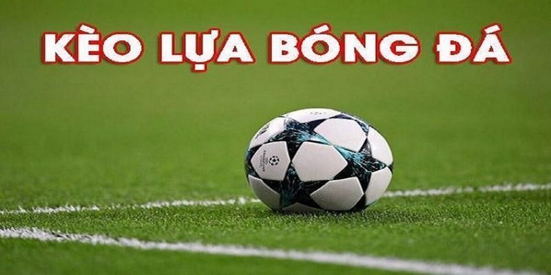 Giải Đáp Câu Hỏi Kèo Lựa Là Gì Cùng Trang Cá Cược Hi88 5 keo-lua-la-gi-tim-hieu